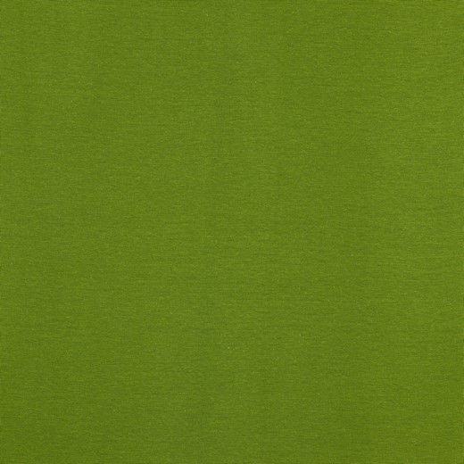 MUDD KIWIGRÖN FG 58-216