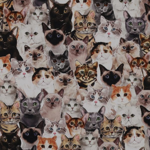 INREDNINGSTYGER KATTER, KATTER, KATTER BRUN FG 1