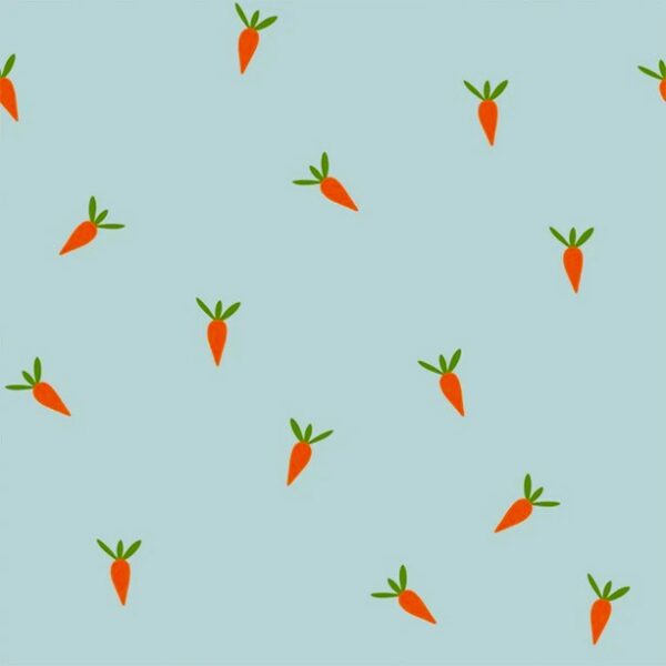 TRIKÅ MORÖTTER LJUSBLÅ/ORANGE FG 2