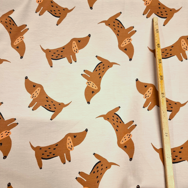 Jogging Korvhunden linnebeige fg 520