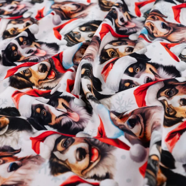 Jogging Tomtens hundnissar vit fg 510