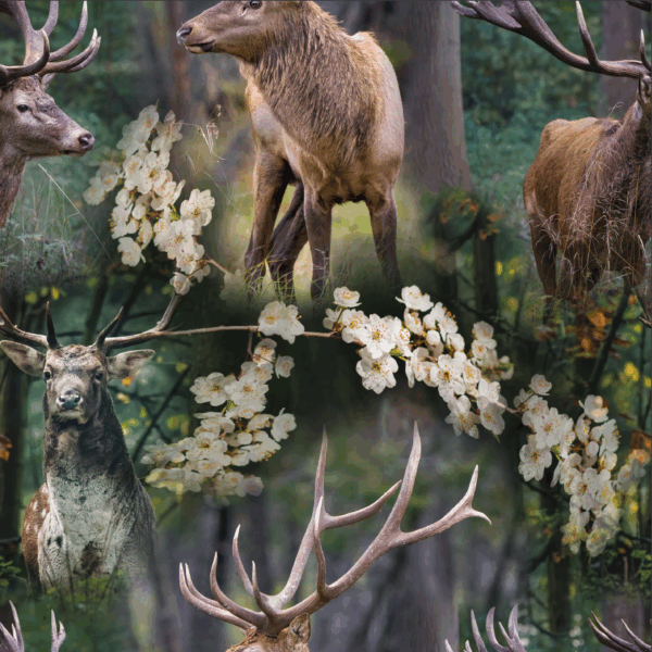 TRIKÅ EKO OH DEER BRUN/GRÖN